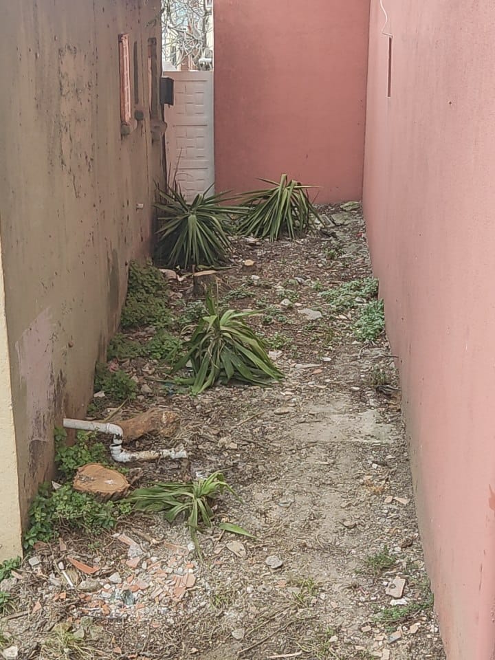 WhatsApp Image 2026-03-15 at 14.09.20.jpeg