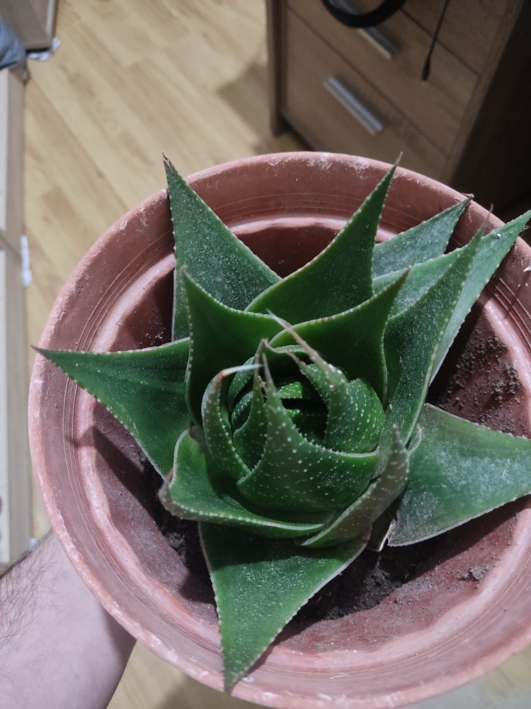 WhatsApp Image 2026-03-23 at 03.12.06.jpeg