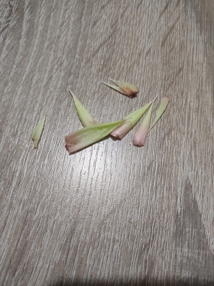 WhatsApp Image 2026-03-23 at 03.12.06 (1).jpeg