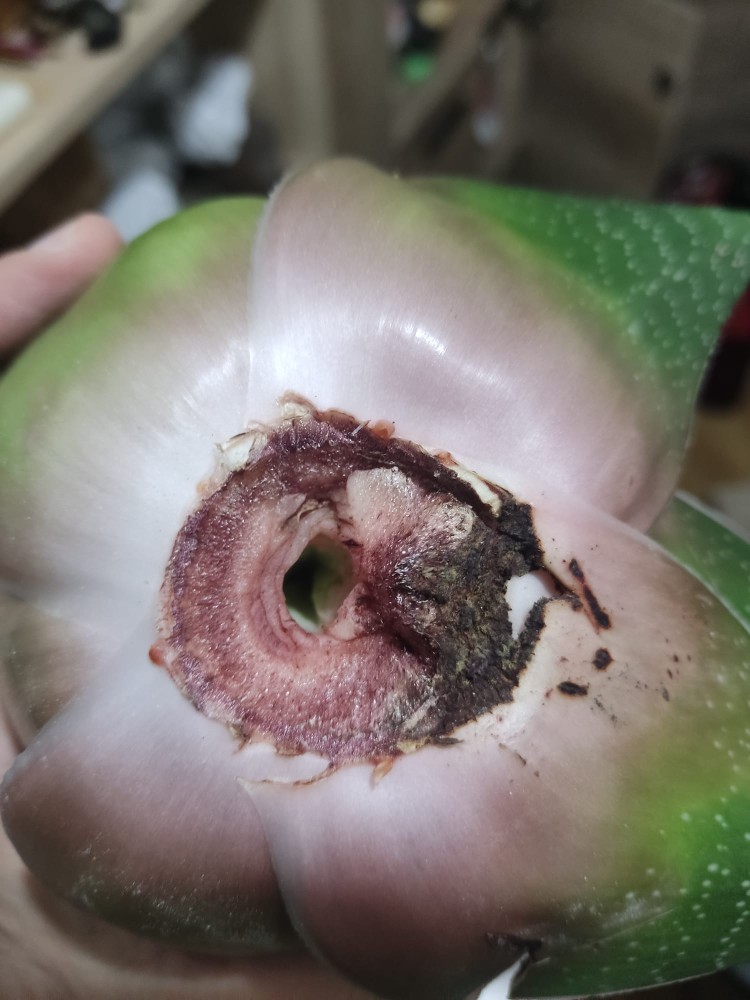 WhatsApp Image 2026-03-23 at 03.12.07.jpeg