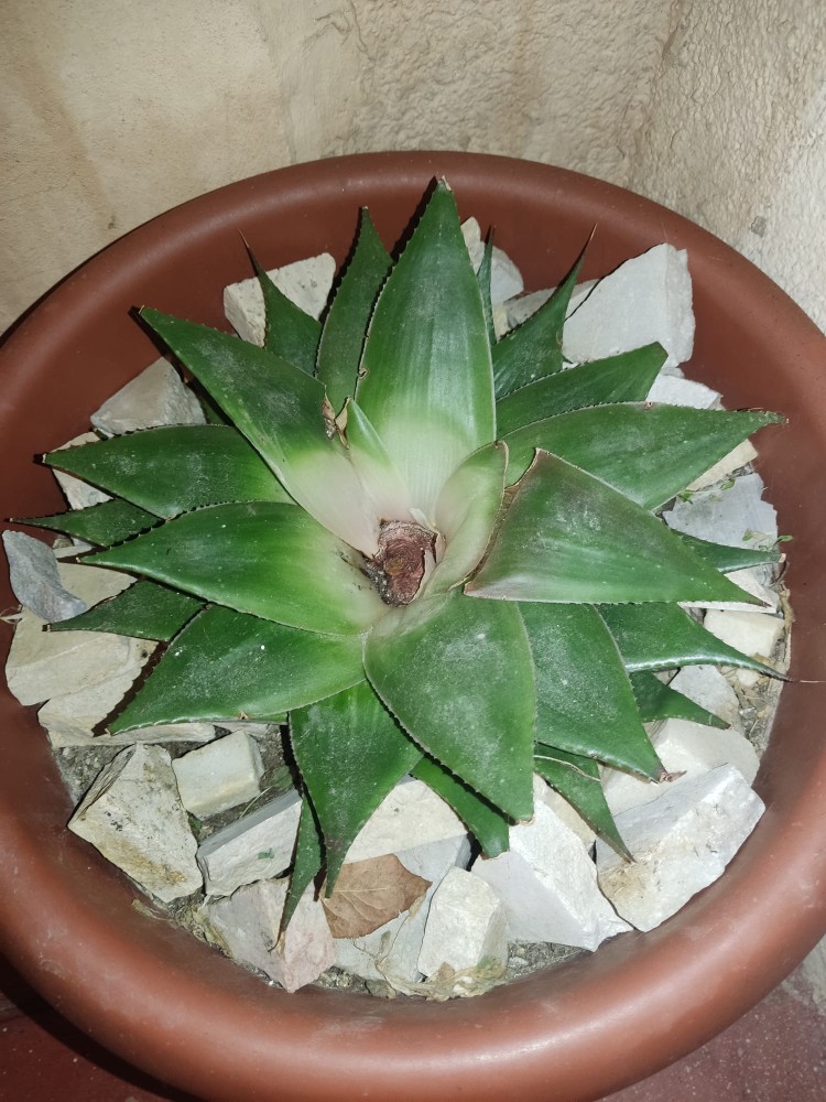 WhatsApp Image 2026-03-24 at 21.07.20 (1).jpeg