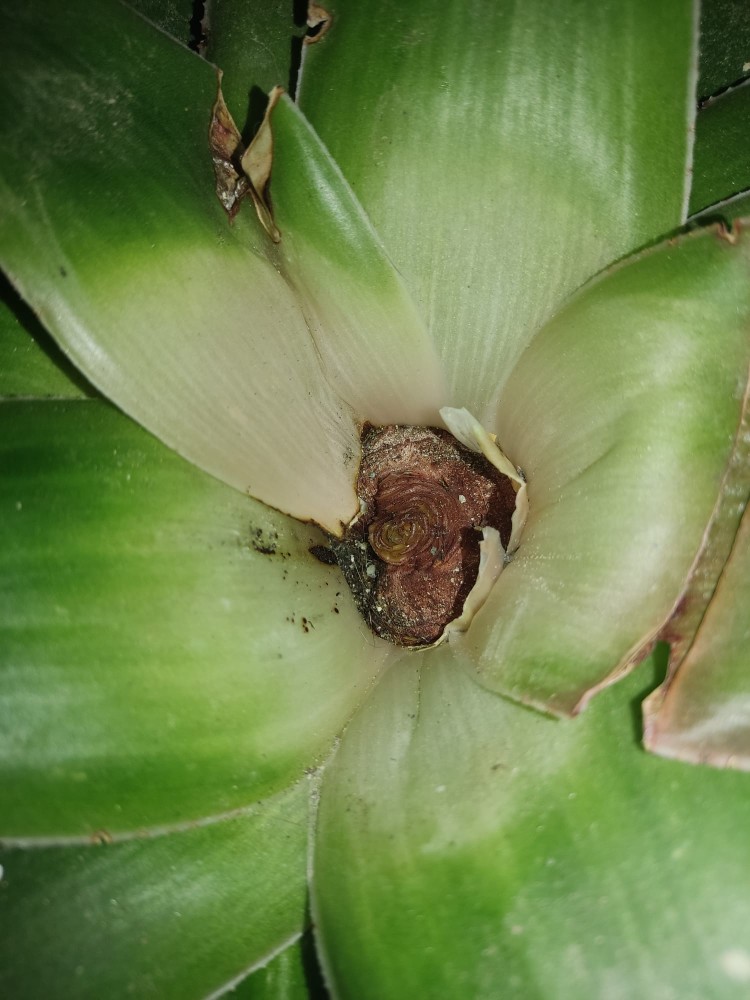 WhatsApp Image 2026-03-24 at 21.07.20.jpeg