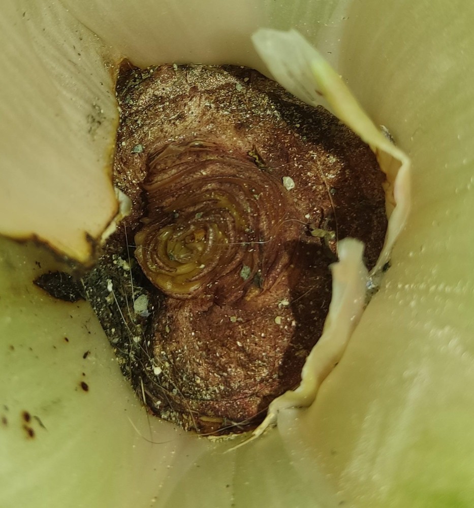 WhatsApp Image 2026-03-24 at 21.07.50.jpeg