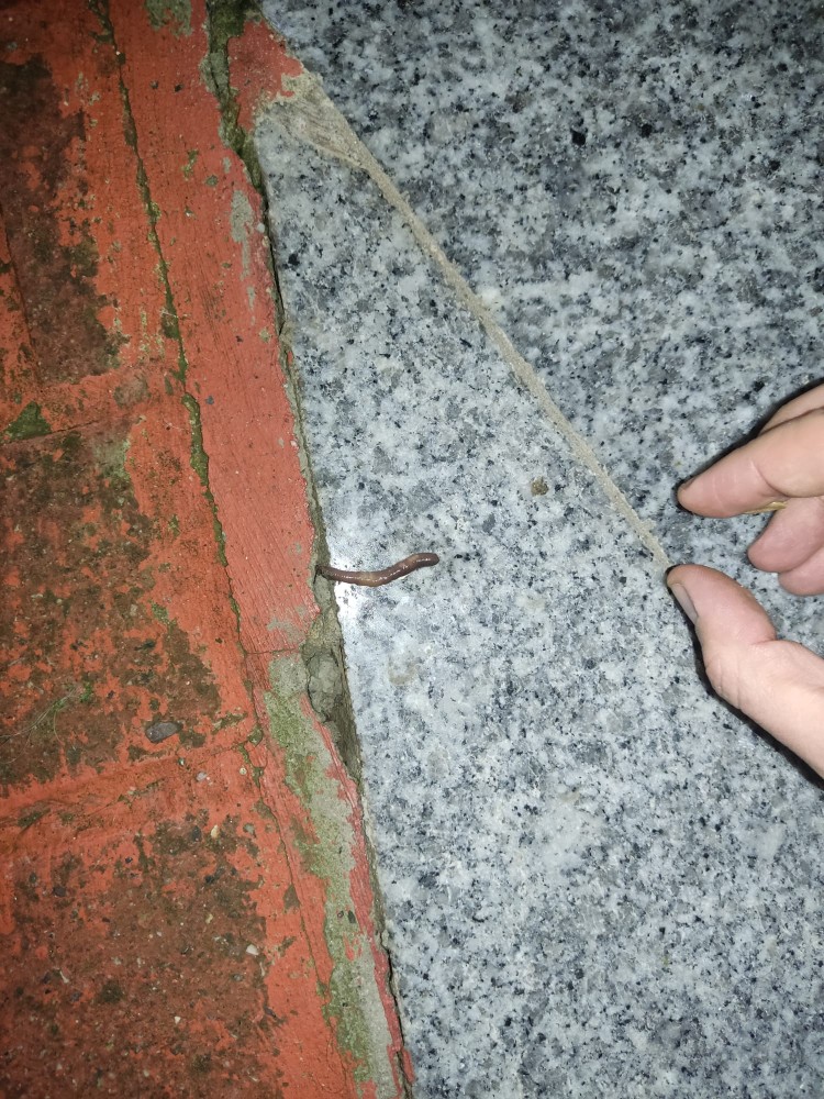 WhatsApp Image 2026-03-24 at 21.07.21.jpeg