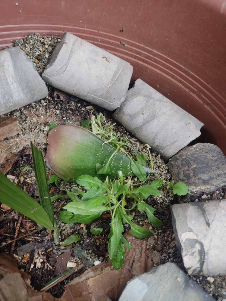 WhatsApp Image 2026-03-24 at 21.07.22.jpeg