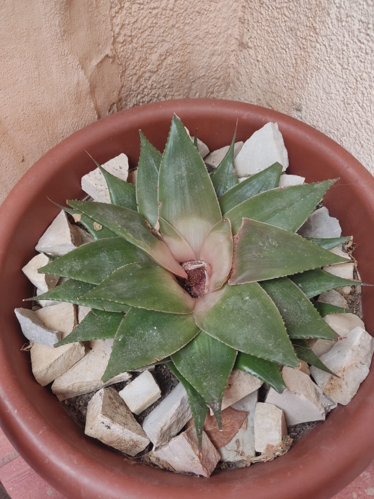 WhatsApp Image 2026-03-28 at 14.05.59 (2).jpeg