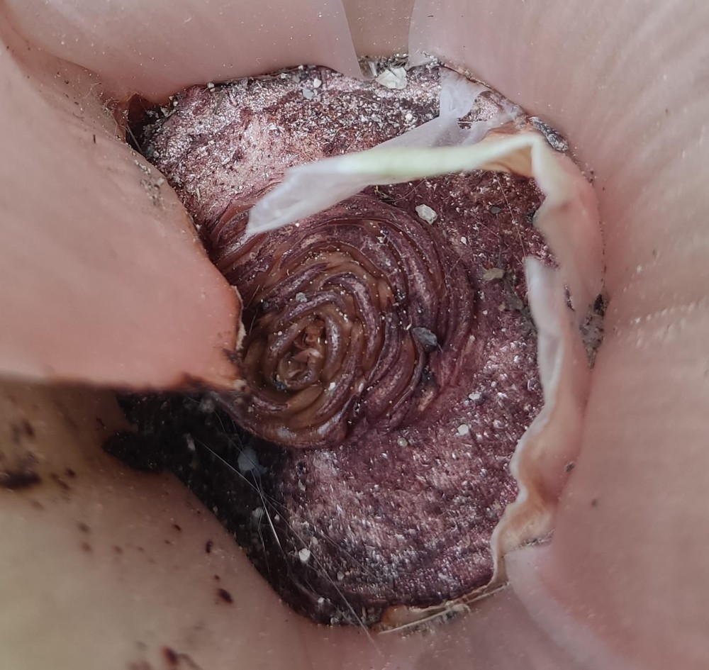 WhatsApp Image 2026-03-28 at 17.57.44.jpeg