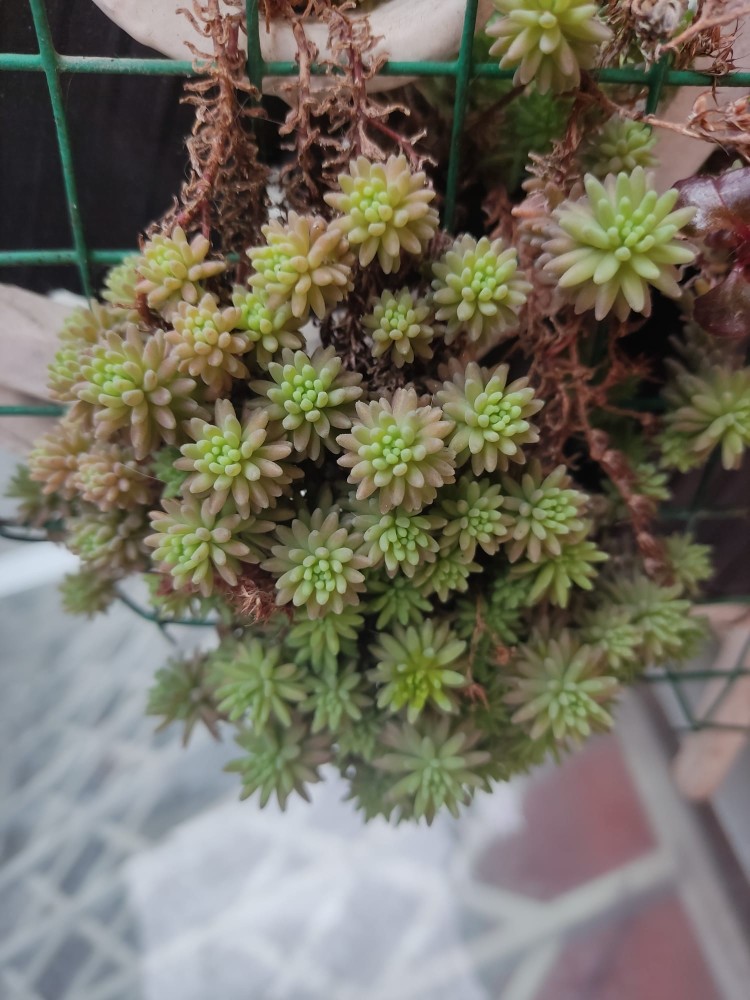 WhatsApp Image 2026-03-28 at 14.05.57 (1).jpeg