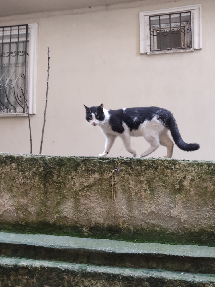 WhatsApp Image 2026-03-28 at 14.05.58.jpeg