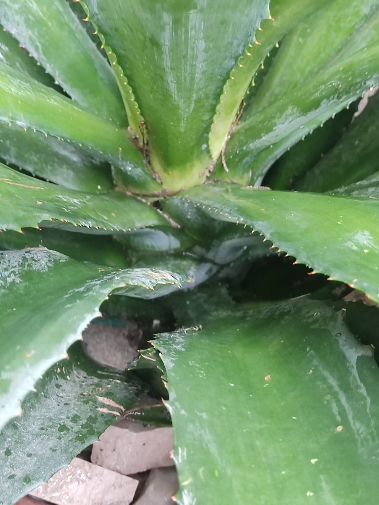 WhatsApp Image 2026-03-28 at 14.05.59.jpeg