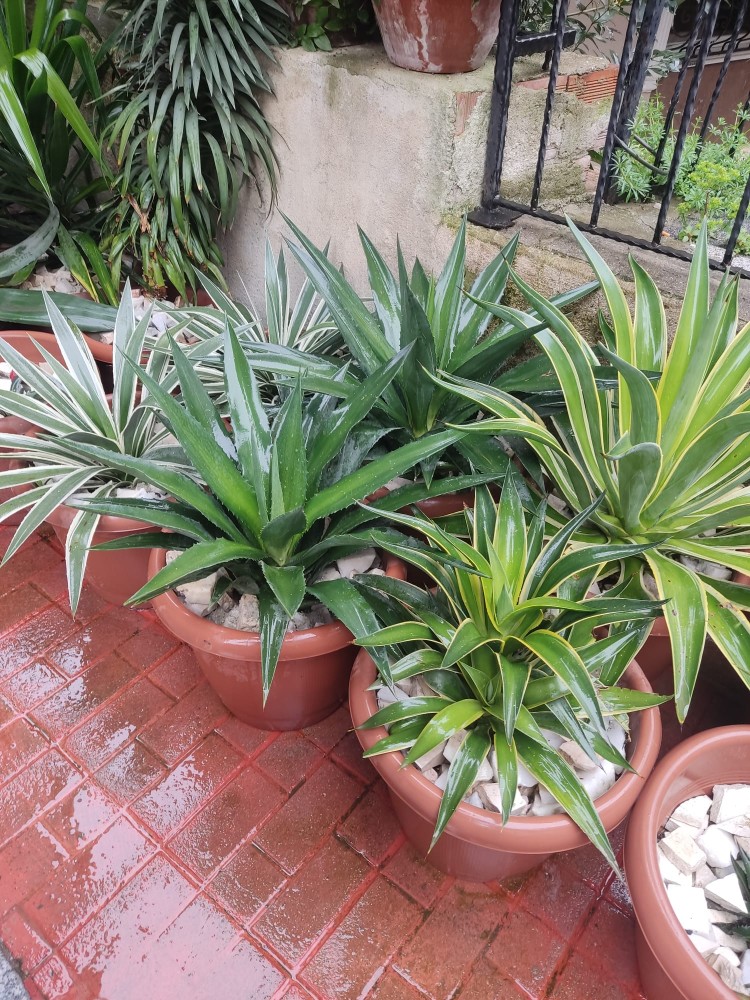 WhatsApp Image 2026-03-28 at 14.05.58 (1).jpeg