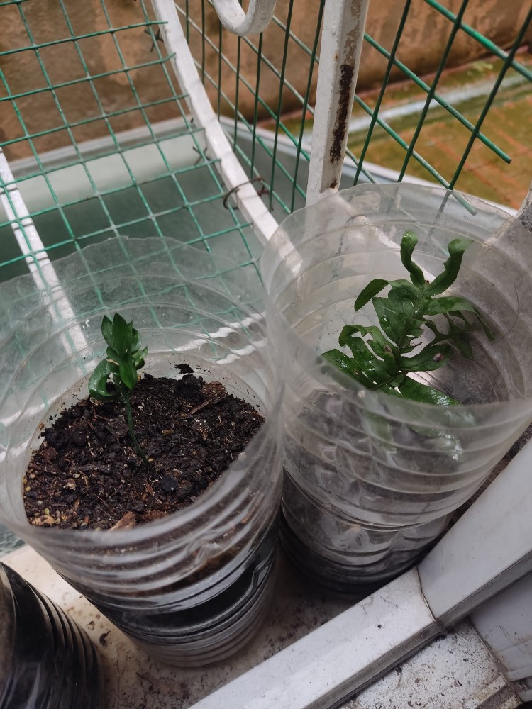 WhatsApp Image 2026-03-28 at 14.05.59 (3).jpeg