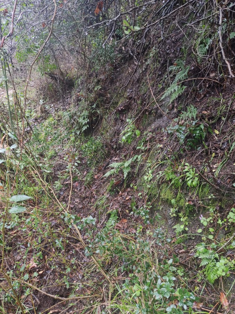 WhatsApp Image 2026-03-29 at 22.27.08 (4).jpeg