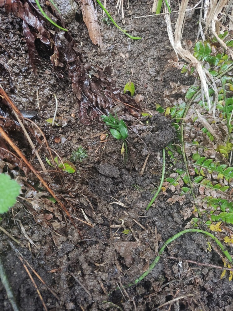 WhatsApp Image 2026-03-29 at 22.27.08 (2).jpeg