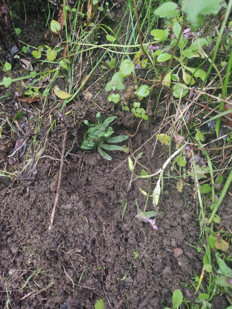 WhatsApp Image 2026-03-29 at 22.27.08 (3).jpeg