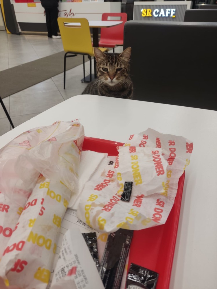 WhatsApp Image 2026-03-29 at 22.27.05.jpeg