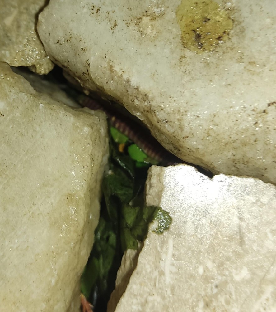 WhatsApp Image 2026-03-30 at 23.48.58.jpeg