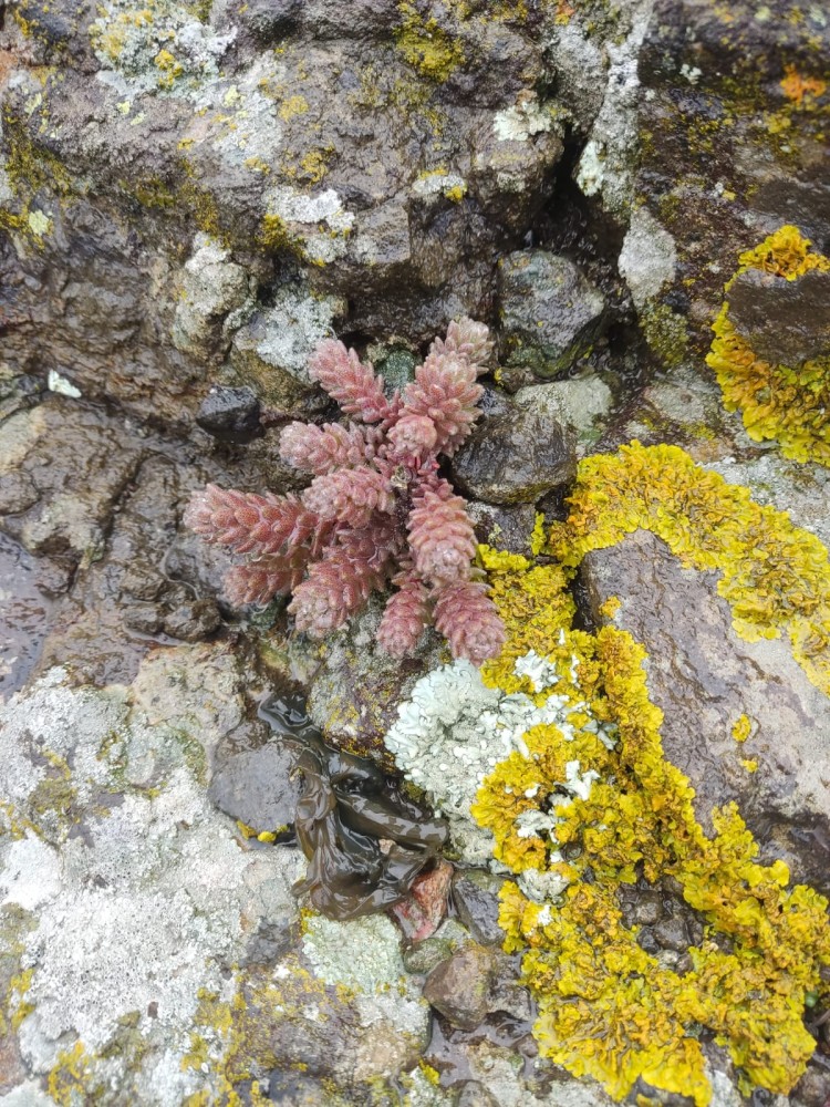 WhatsApp Image 2026-03-29 at 22.27.09 (2).jpeg