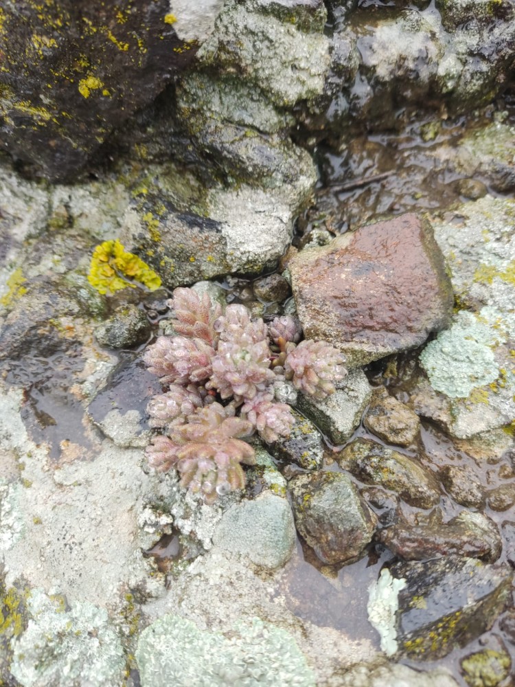 WhatsApp Image 2026-03-29 at 22.27.10.jpeg