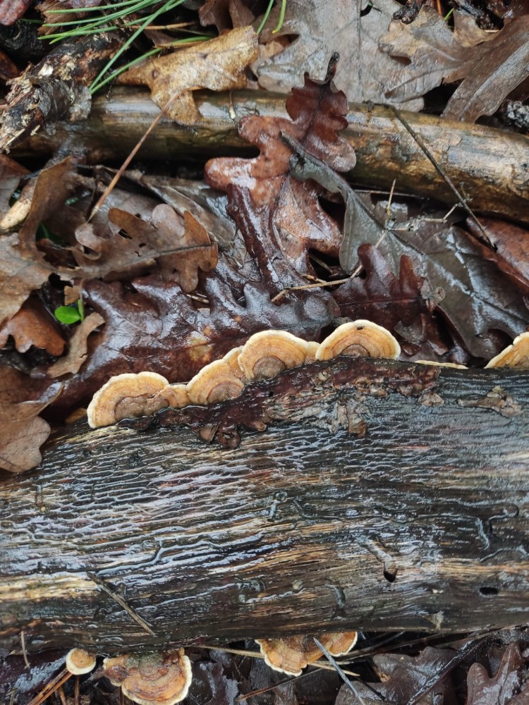 WhatsApp Image 2026-03-29 at 22.27.07 (3).jpeg