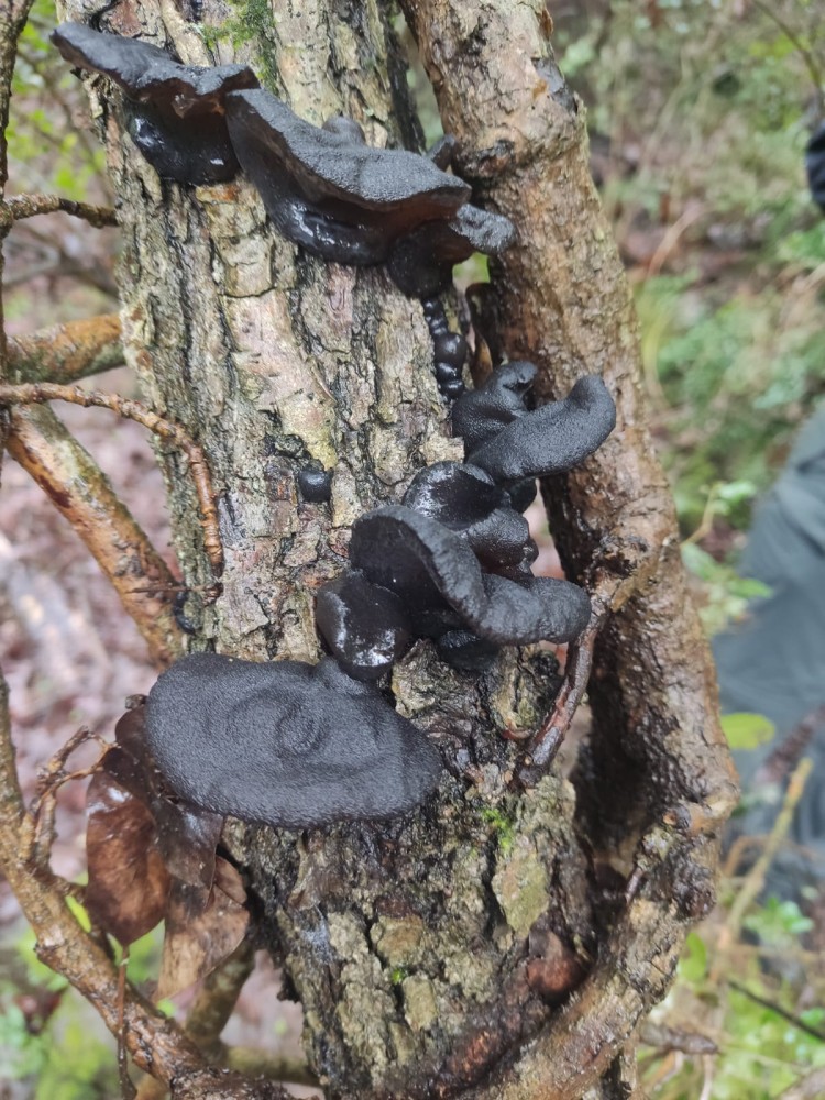 WhatsApp Image 2026-03-29 at 22.27.07 (4).jpeg