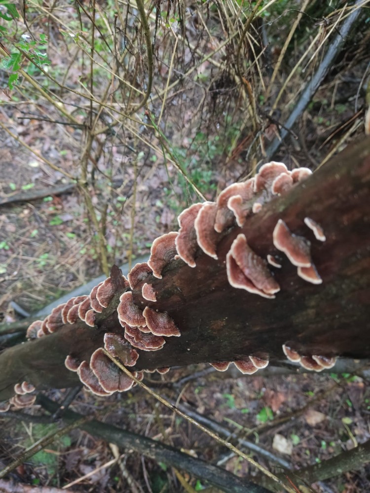 WhatsApp Image 2026-03-29 at 22.27.08.jpeg