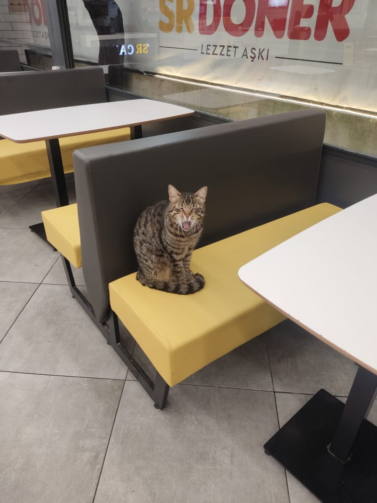 WhatsApp Image 2026-03-29 at 22.27.05 (1).jpeg