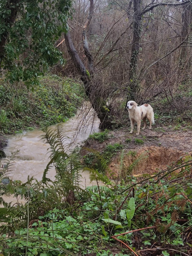 WhatsApp Image 2026-03-29 at 22.27.06 (3).jpeg