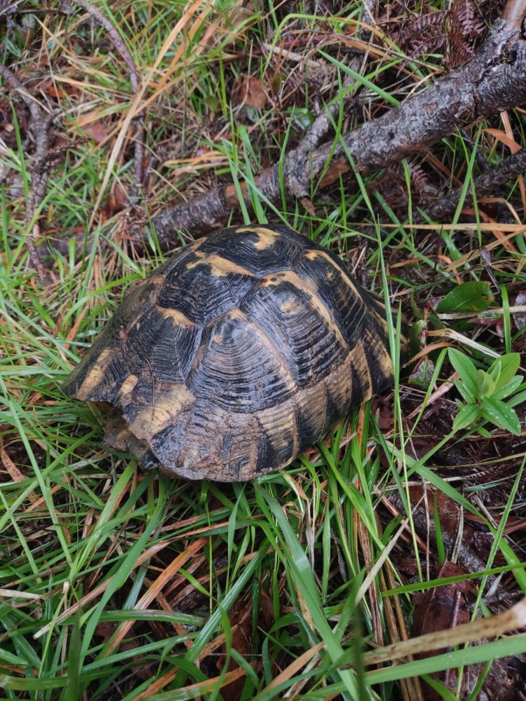 WhatsApp Image 2026-03-29 at 22.27.07 (2).jpeg