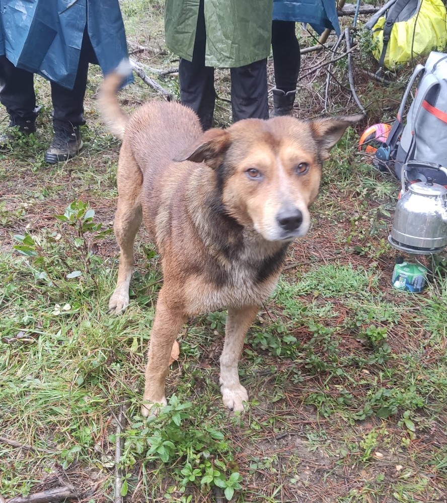 WhatsApp Image 2026-03-29 at 22.27.07.jpeg