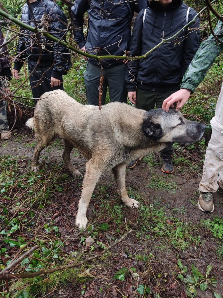 WhatsApp Image 2026-03-29 at 22.27.08 (1).jpeg