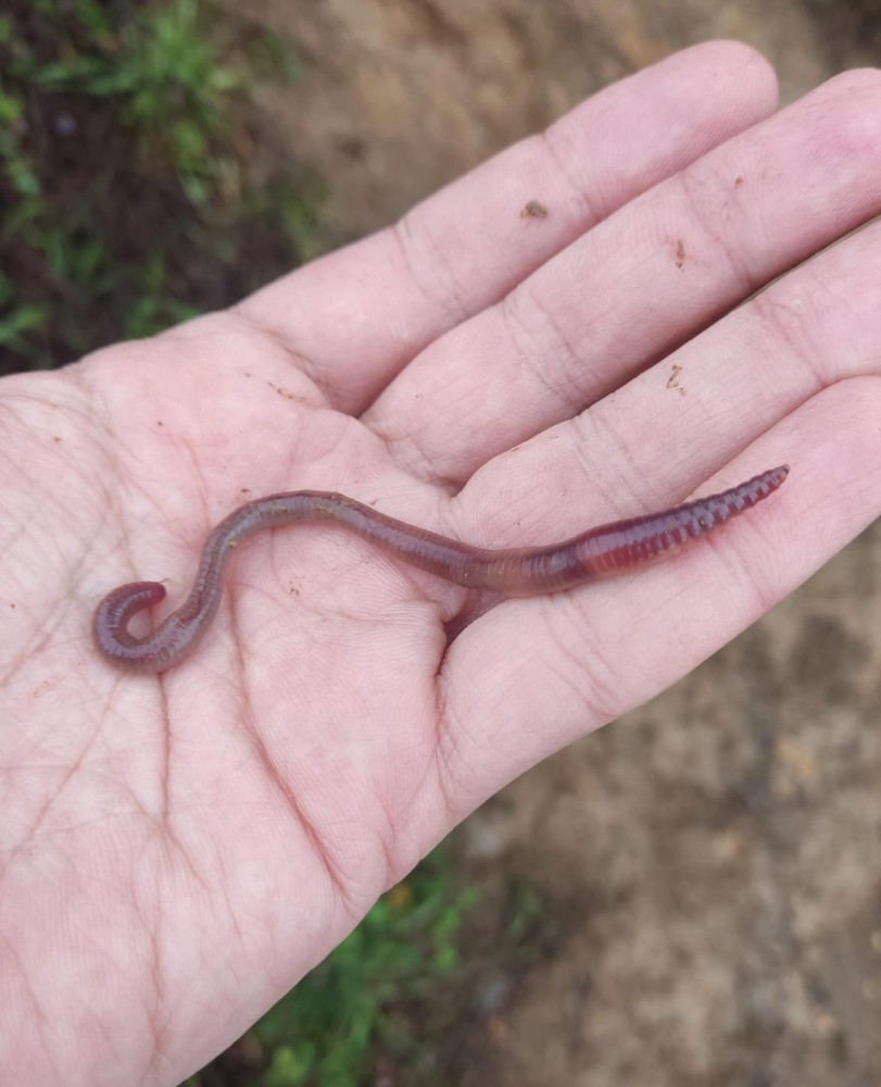 WhatsApp Image 2026-03-29 at 22.27.09 (1).jpeg