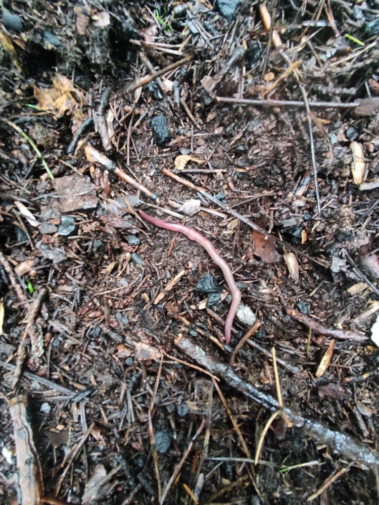 WhatsApp Image 2026-03-29 at 22.27.09.jpeg