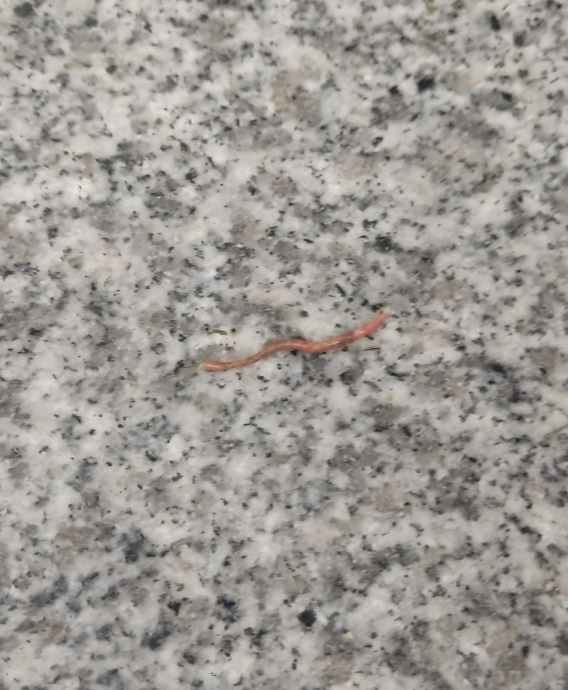 WhatsApp Image 2026-03-29 at 22.27.11 (1).jpeg