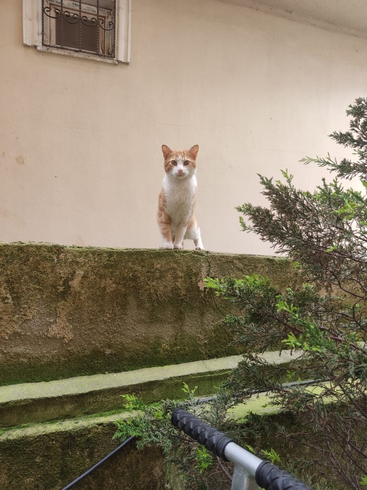 WhatsApp Image 2026-04-03 at 16.07.17.jpeg