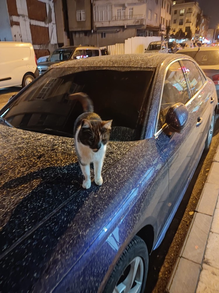 WhatsApp Image 2026-04-03 at 16.07.22.jpeg