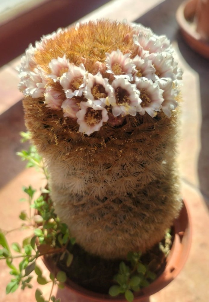 WhatsApp Image 2026-04-04 at 17.39.54 (2).jpeg