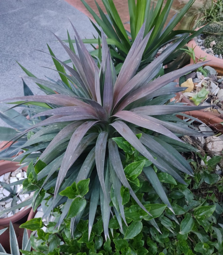 WhatsApp Image 2026-04-04 at 19.52.09.jpeg