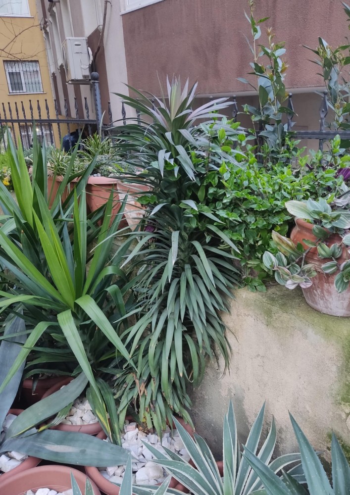 WhatsApp Image 2026-04-04 at 19.52.08 (1).jpeg