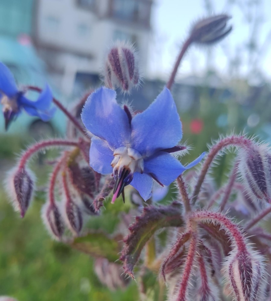 WhatsApp Image 2026-04-04 at 19.52.08.jpeg