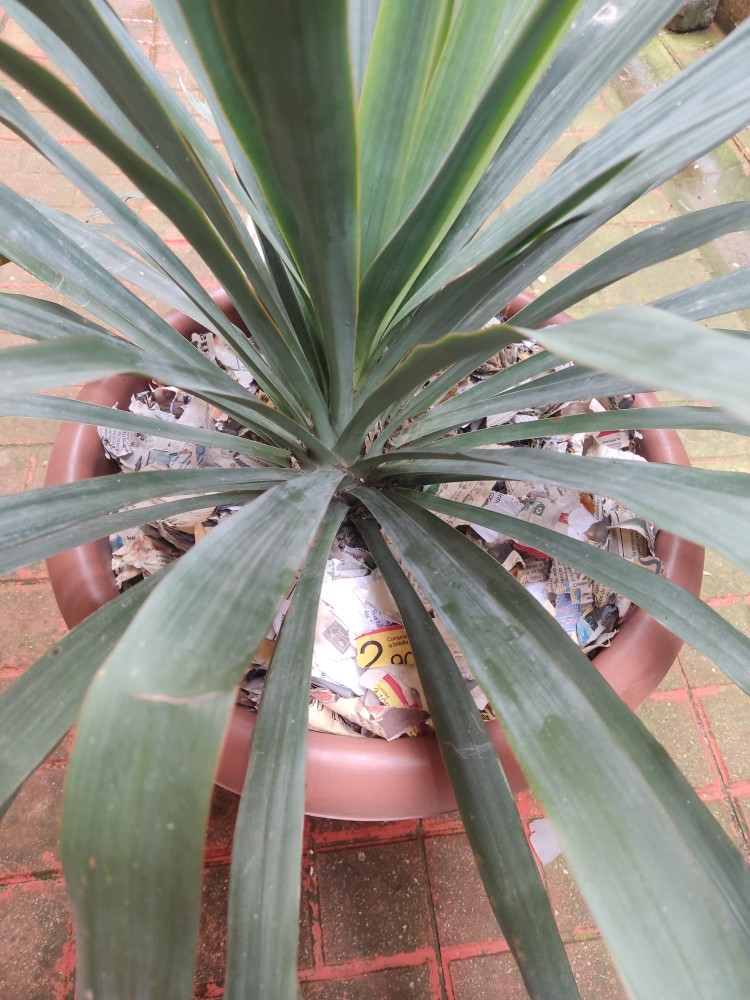 WhatsApp Image 2026-04-03 at 16.07.18.jpeg