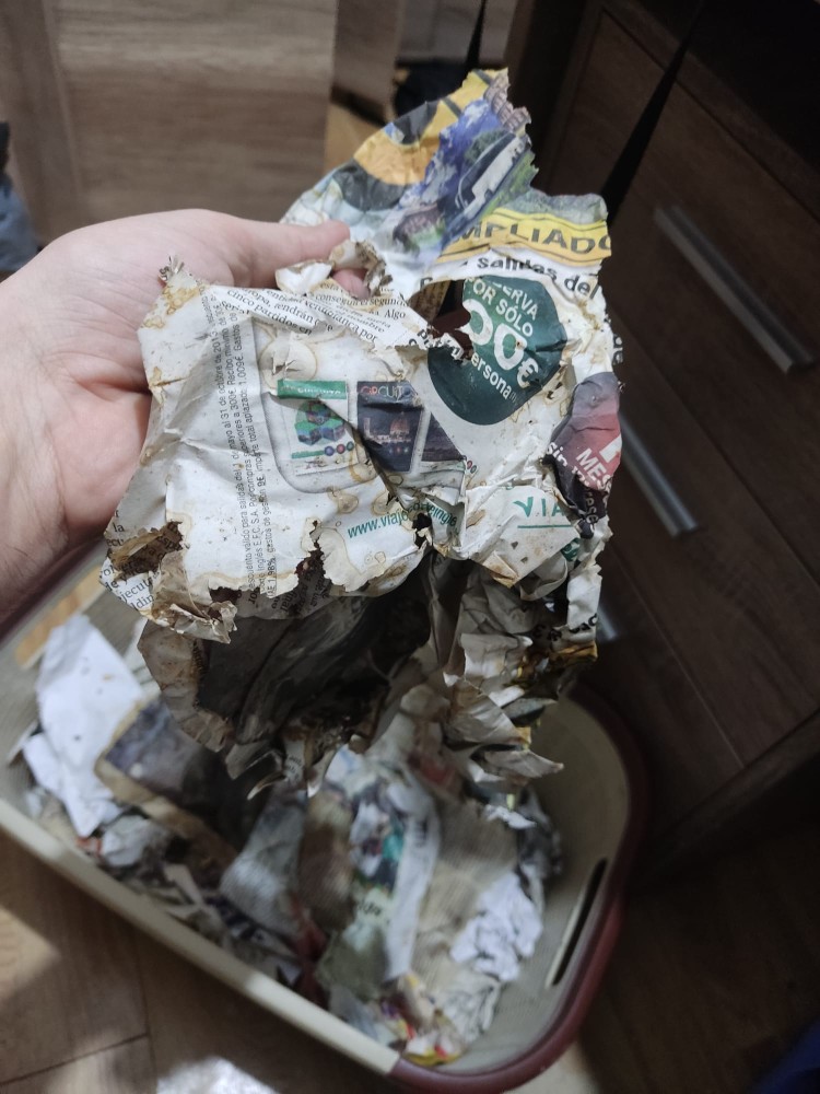 WhatsApp Image 2026-04-03 at 16.07.23.jpeg