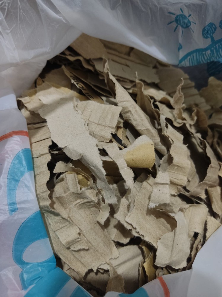 WhatsApp Image 2026-04-03 at 16.07.23 (1).jpeg