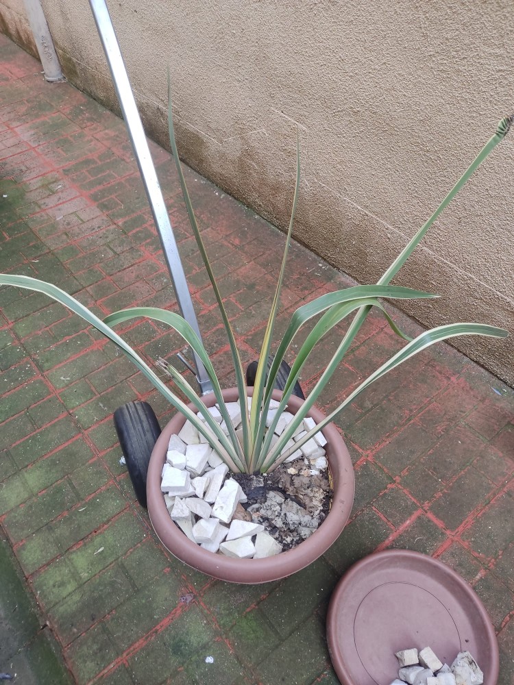 WhatsApp Image 2026-04-03 at 16.07.13.jpeg