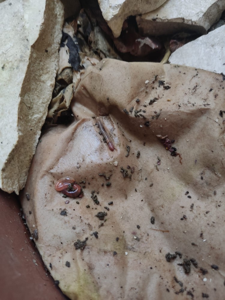 WhatsApp Image 2026-04-03 at 16.07.11 (3).jpeg