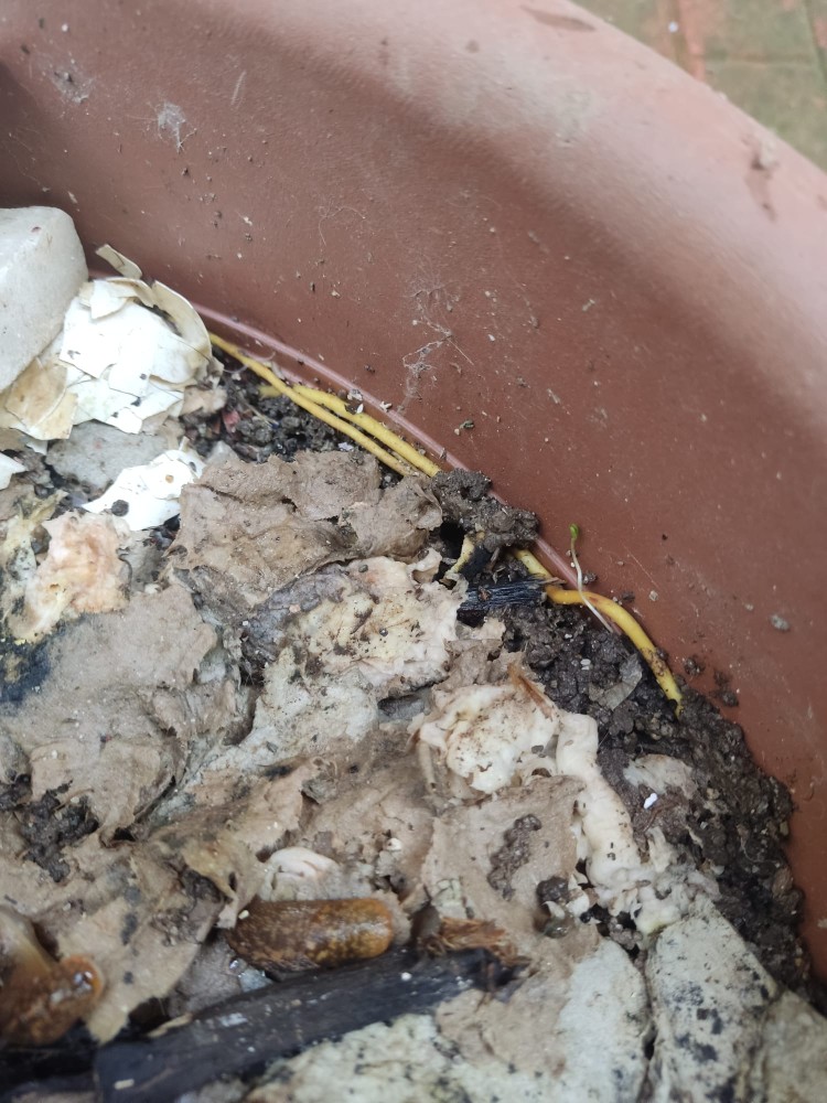 WhatsApp Image 2026-04-03 at 16.07.13 (1).jpeg