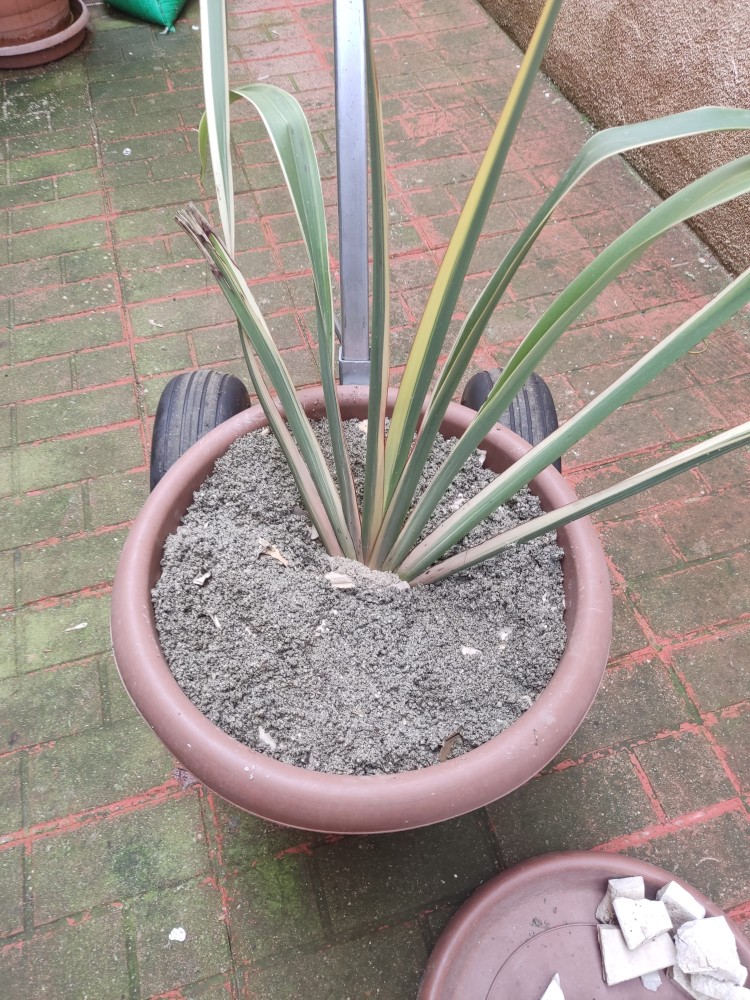 WhatsApp Image 2026-04-03 at 16.07.10.jpeg