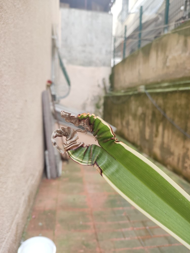 WhatsApp Image 2026-04-03 at 16.07.09 (1).jpeg