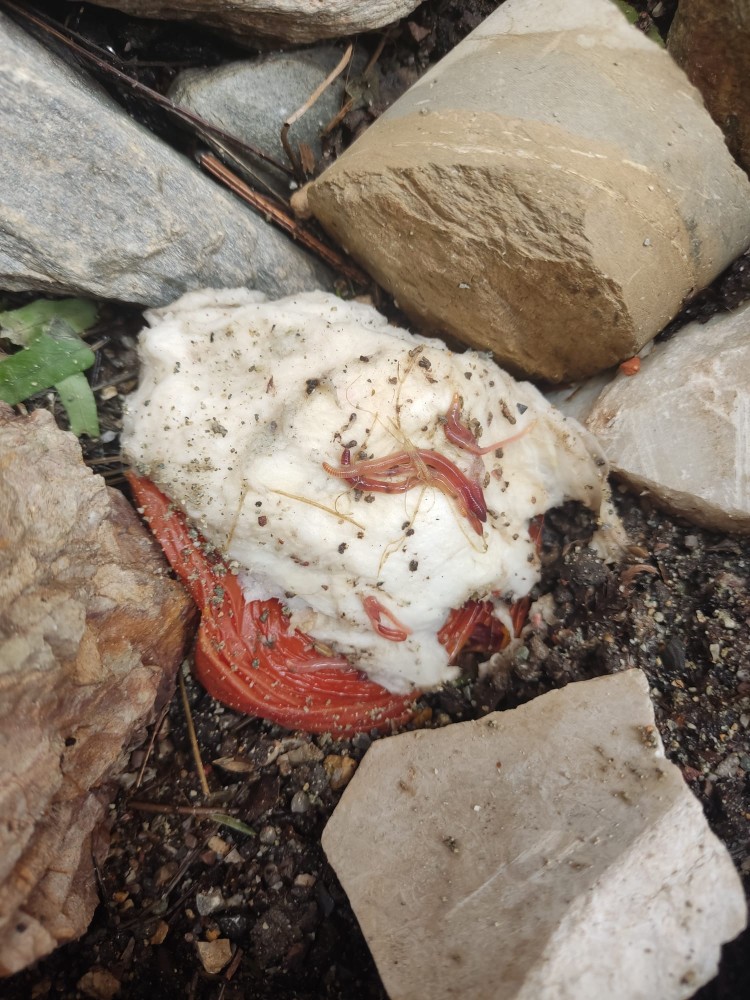 WhatsApp Image 2026-04-03 at 16.07.11 (1).jpeg