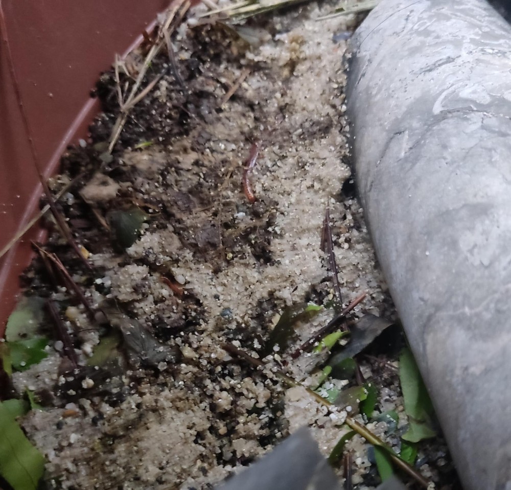 WhatsApp Image 2026-04-04 at 19.49.55 (1).jpeg